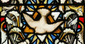 Stained glass - dove