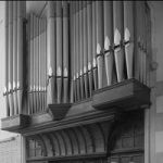organ