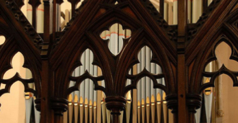 Organ