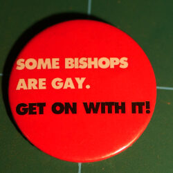 Some bishops are gay. Get on with it!